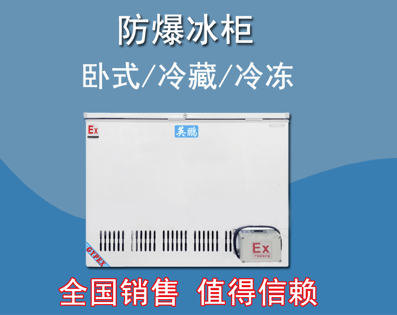 英鵬防爆臥式冰箱，存放油漆防爆冰箱BL-200