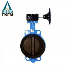泰流科技（TKFM）渦輪軟密封對(duì)夾蝶閥D371X-10/16 Q/C