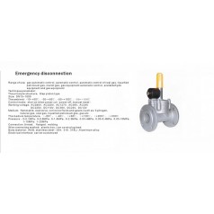 進(jìn)口低壓緊急切斷電磁閥（通電關(guān)閉、手動(dòng)打開）