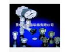 德國(guó)HAWE哈威SG/DG壓力繼電器
