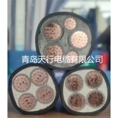 濰坊建筑工程用國標(biāo)銅芯電纜YJV3+2電纜 天行電纜品牌推薦