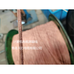 DJYVP、DJYPVP儀表信號計(jì)算機(jī)電纜生產(chǎn)廠家 天行品牌 生產(chǎn)定制