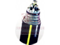 Nexans高溫電纜進口