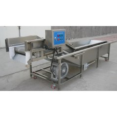 油菜氣泡清洗機(jī)，小白菜氣泡清洗機(jī)