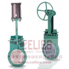 L&M Valve閥門(mén)美國(guó)