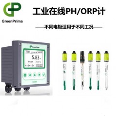 在線酸堿度檢測(cè)儀-污水環(huán)保在線PH計(jì)分析儀英國(guó)戈普