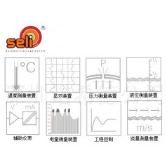 SELI測(cè)量裝置