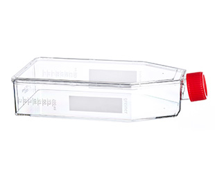 貼壁細(xì)胞培養(yǎng)瓶（TC處理，滅菌）661160 175cm&#178;，最大容積650ml（high）
