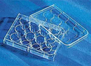 Corning 96孔板 圓底 PVC(聚氯乙烯)材質(zhì) 無(wú)蓋 未滅菌 散裝 2797