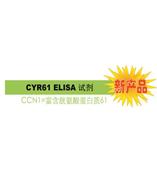 CYR61 是診斷 / 判斷乳腺癌惡化的腫瘤標(biāo)志物。