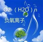 負(fù)氧離子在線(xiàn)監(jiān)測(cè)系統(tǒng) 衡量一個(gè)公園空氣優(yōu)劣的神器