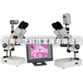 供應(yīng)云飛XTZ解剖鏡及成像設(shè)備，解剖鏡及成像設(shè)備廠(chǎng)家
