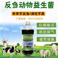 牛用益生菌價格肉牛育肥用益生菌廠家